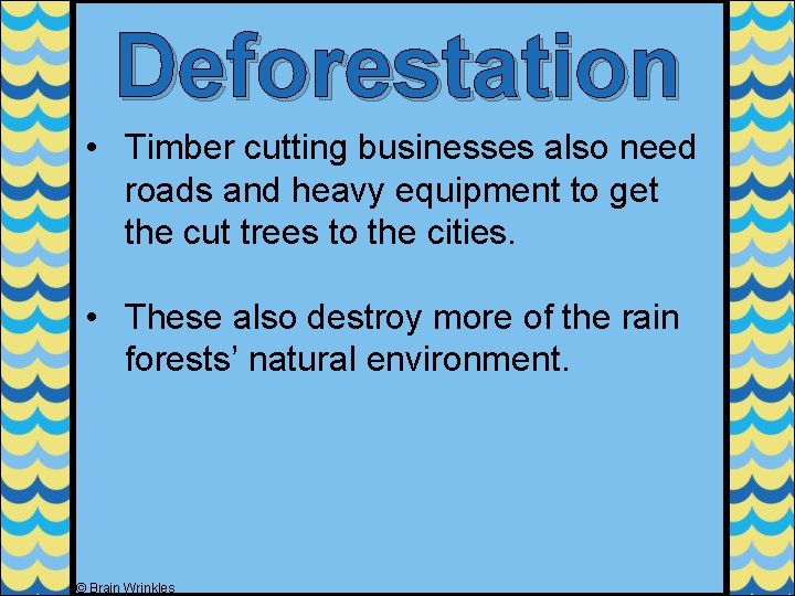 Deforestation • Timber cutting businesses also need roads and heavy equipment to get the