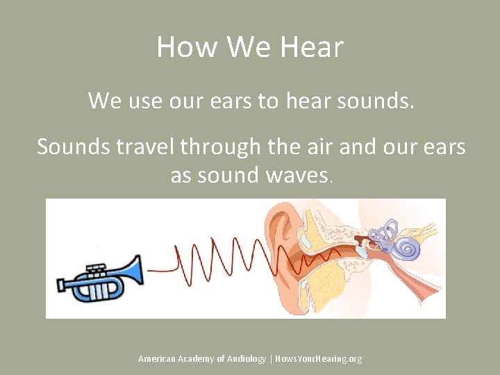 How We Hear We use our ears to hear sounds. Sounds travel through the How We Hear We use our ears to hear sounds. Sounds travel through the