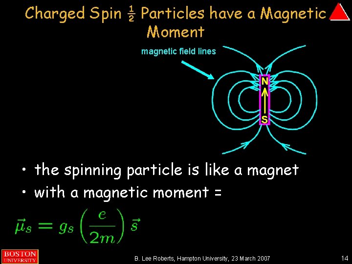 Charged Spin ½ Particles have a Magnetic Moment magnetic field lines • the spinning