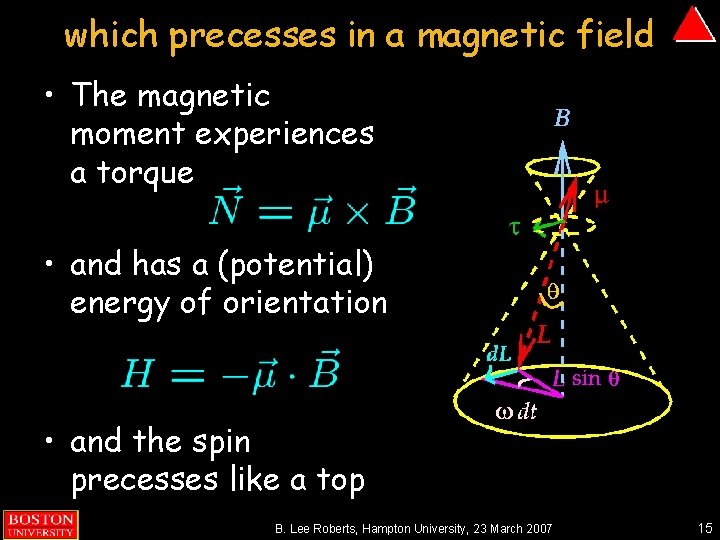 which precesses in a magnetic field • The magnetic moment experiences a torque •