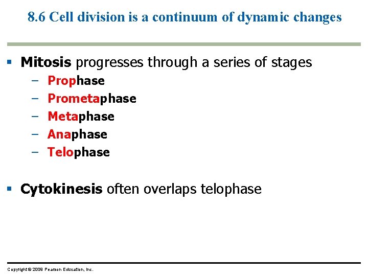 8. 6 Cell division is a continuum of dynamic changes Mitosis progresses through a