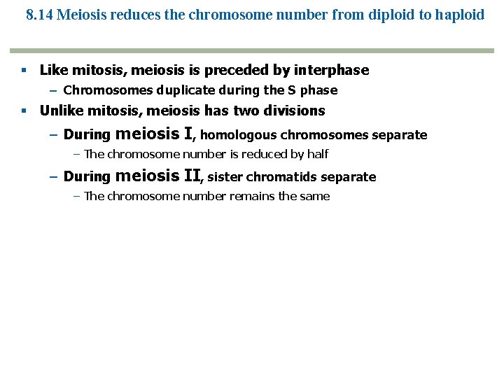 8. 14 Meiosis reduces the chromosome number from diploid to haploid Like mitosis, meiosis