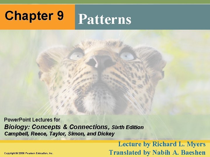 Chapter 9 Patterns Power. Point Lectures for Biology: Concepts & Connections, Sixth Edition Campbell,