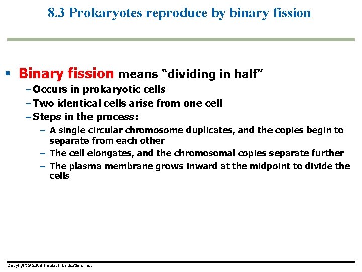 8. 3 Prokaryotes reproduce by binary fission Binary fission means “dividing in half” –