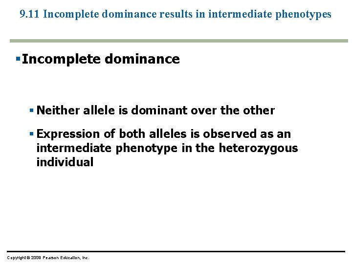 9. 11 Incomplete dominance results in intermediate phenotypes Incomplete dominance Neither allele is dominant