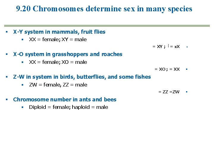 9. 20 Chromosomes determine sex in many species X-Y system in mammals, fruit flies