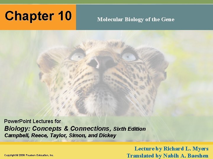 Chapter 10 Molecular Biology of the Gene Power. Point Lectures for Biology: Concepts &