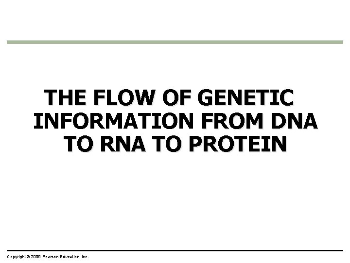 THE FLOW OF GENETIC INFORMATION FROM DNA TO RNA TO PROTEIN Copyright © 2009