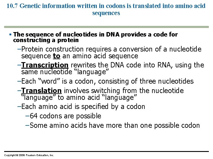 10. 7 Genetic information written in codons is translated into amino acid sequences The