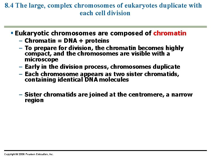 8. 4 The large, complex chromosomes of eukaryotes duplicate with each cell division Eukaryotic