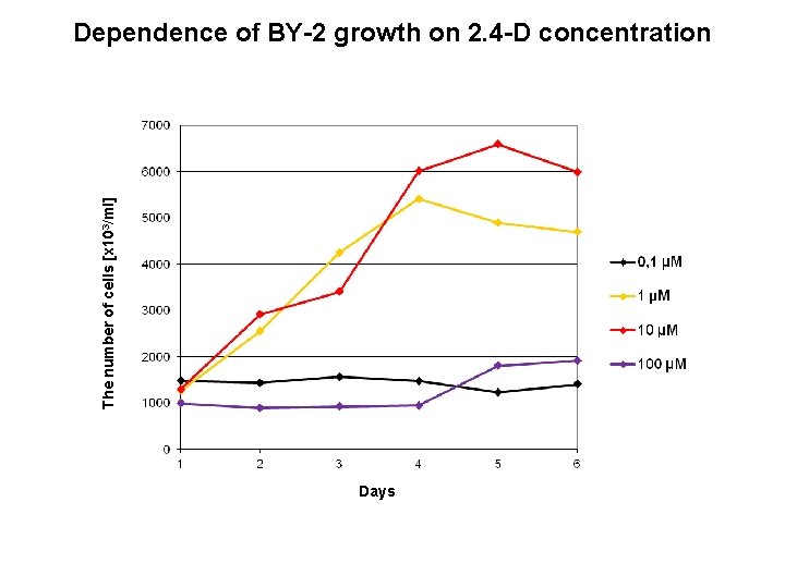 The number of cells [x 103/ml] Dependence of BY-2 growth on 2. 4 -D