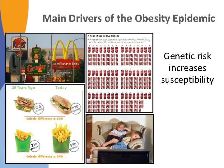 Main Drivers of the Obesity Epidemic Genetic risk increases susceptibility 