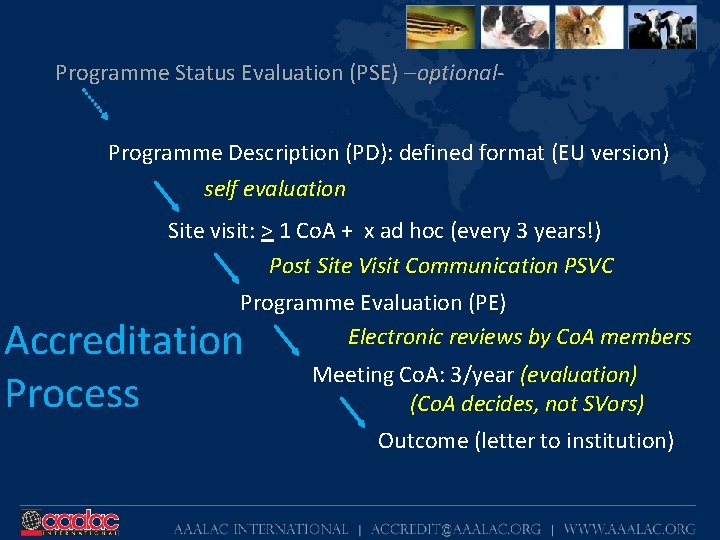 Programme Status Evaluation (PSE) –optional. Programme Description (PD): defined format (EU version) self evaluation