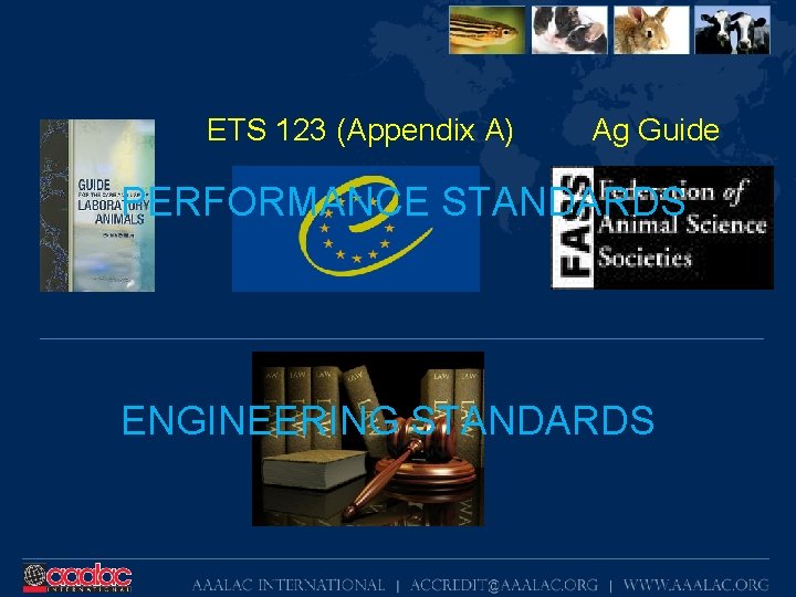 ETS 123 (Appendix A) Ag Guide PERFORMANCE STANDARDS ENGINEERING STANDARDS 
