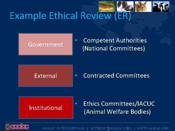 Example Ethical Review (ER) Government • Competent Authorities (National Committees) External • Contracted Committees