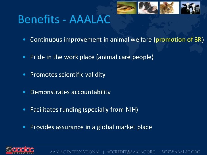 Benefits - AAALAC • Continuous improvement in animal welfare (promotion of 3 R) •
