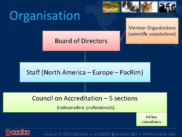 Organisation Board of Directors Member Organizations (scientific associations) Staff (North America – Europe –