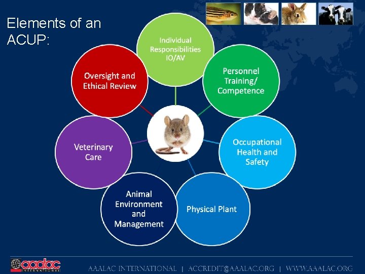 Elements of an ACUP: 
