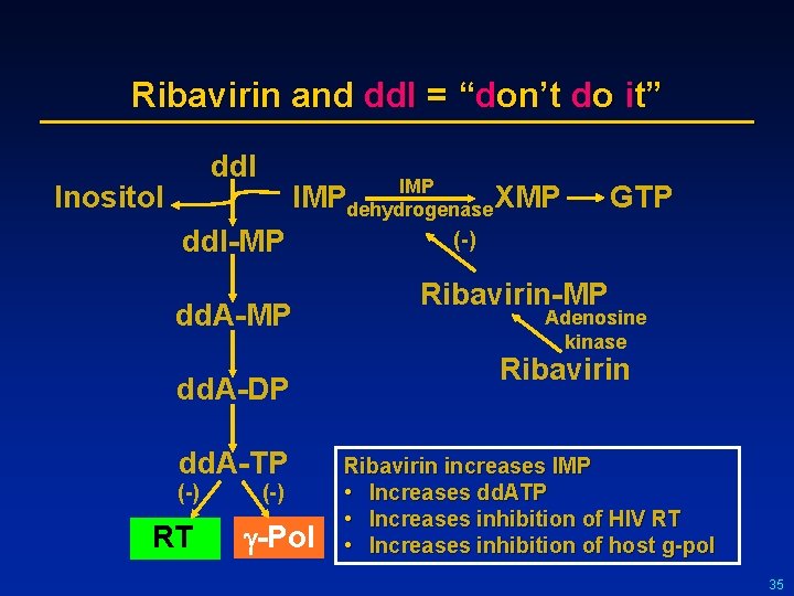 Ribavirin and dd. I = “don’t do it” dd. I Inositol IMP XMP dehydrogenase