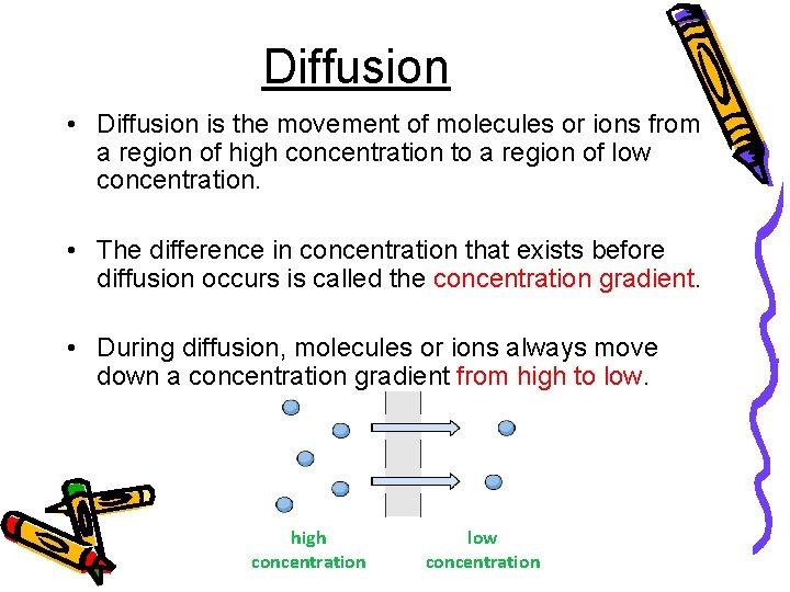 Diffusion Absorption Absorption and Secretion Learning Outcomes Identify the structure