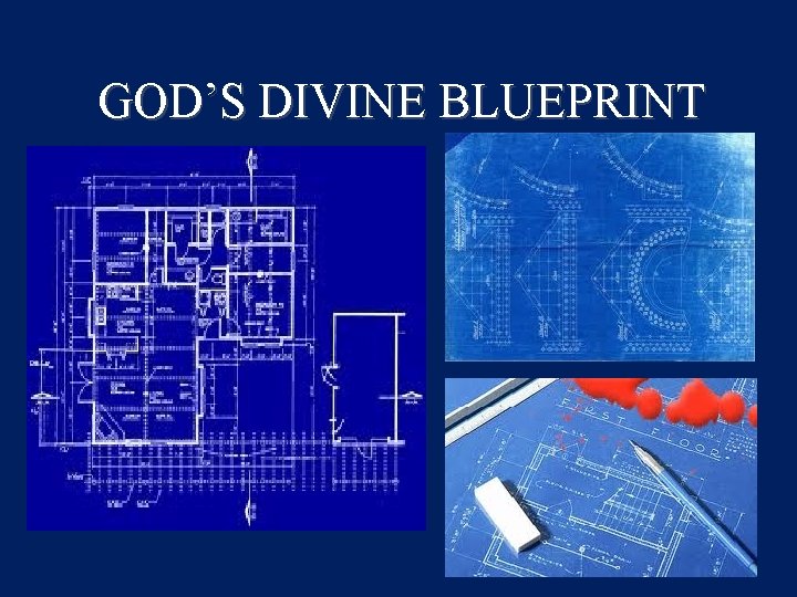 GOD’S DIVINE BLUEPRINT 