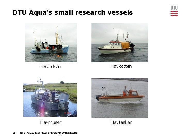 DTU Aqua’s small research vessels 11 Havfisken Havkatten Havmusen Havtasken DTU Aqua, Technical University