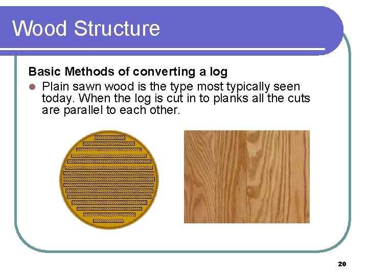 Wood Structure Basic Methods of converting a log l Plain sawn wood is the