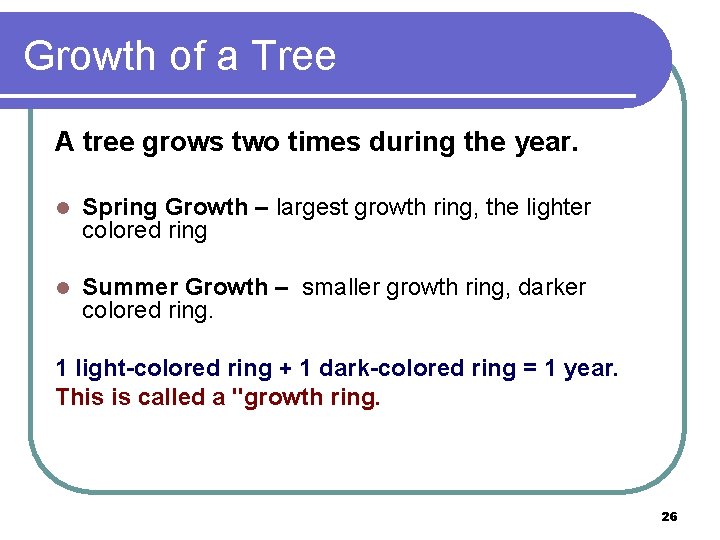 Growth of a Tree A tree grows two times during the year. l Spring