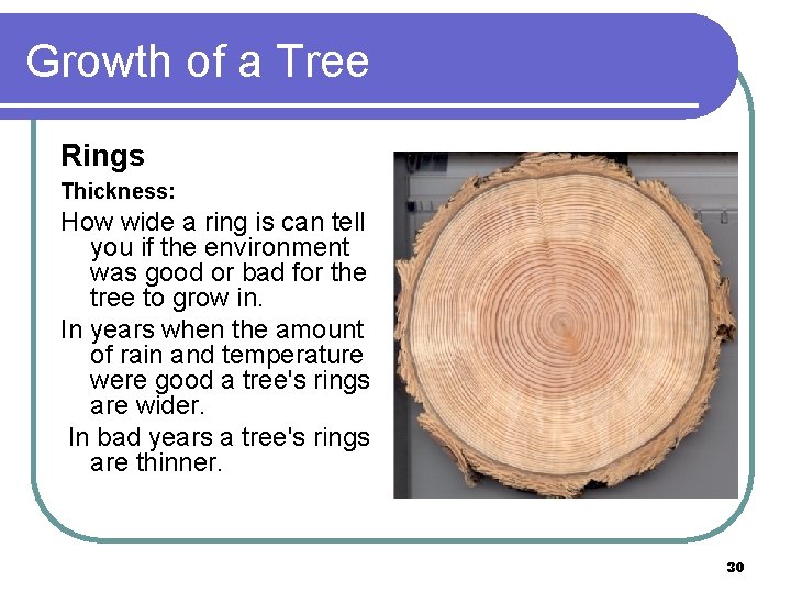 Growth of a Tree Rings Thickness: How wide a ring is can tell you