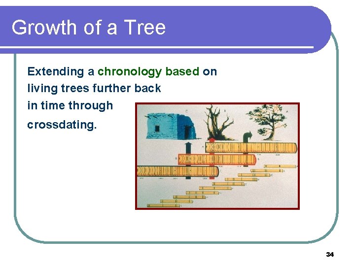 Growth of a Tree Extending a chronology based on living trees further back in