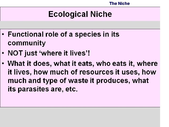 The Niche: the way which an organism lives and its role in the environment The Niche: the way which an organism lives and its role in the environment