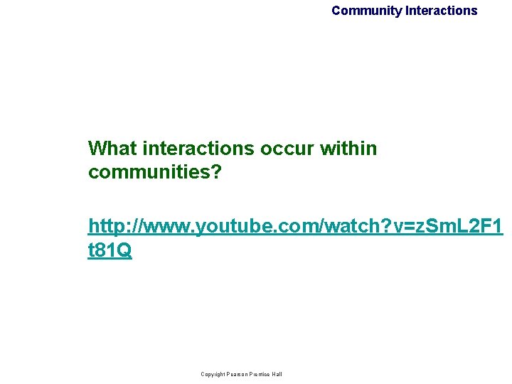Community Interactions What interactions occur within communities? http: //www. youtube. com/watch? v=z. Sm. L Community Interactions What interactions occur within communities? http: //www. youtube. com/watch? v=z. Sm. L