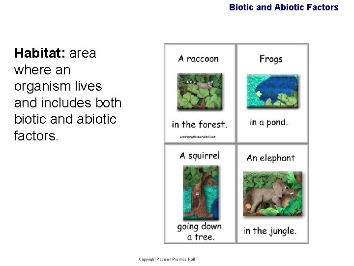 Biotic and Abiotic Factors Habitat: area where an organism lives and includes both biotic Biotic and Abiotic Factors Habitat: area where an organism lives and includes both biotic