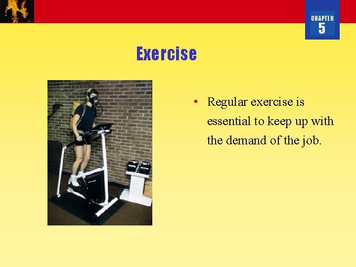 CHAPTER 5 Exercise • Regular exercise is essential to keep up with the demand