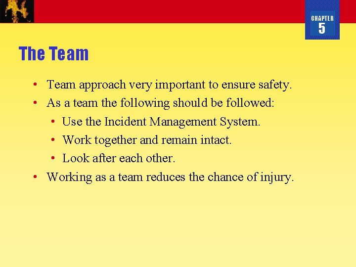 CHAPTER 5 The Team • Team approach very important to ensure safety. • As