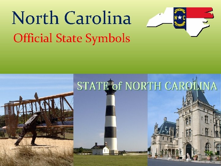 North Carolina Official State Symbols 