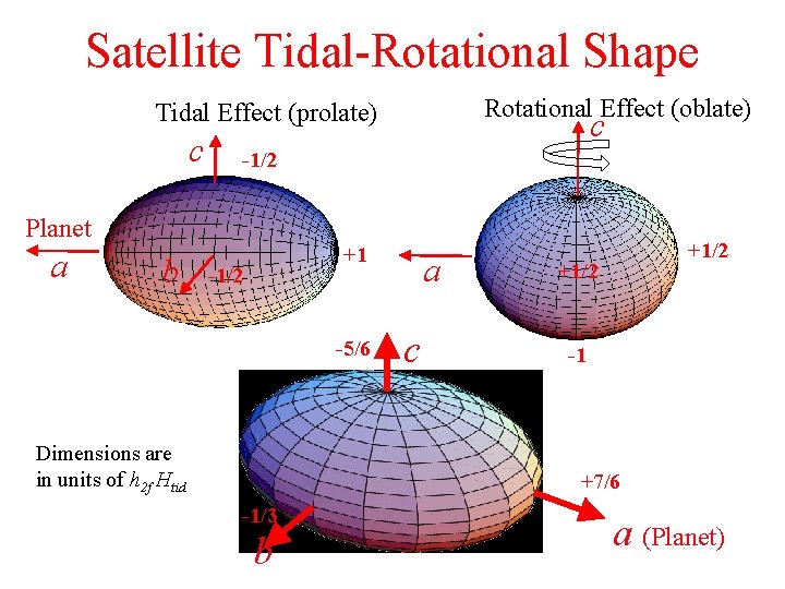 Satellite Tidal-Rotational Shape Rotational Effect (oblate) Tidal Effect (prolate) c c -1/2 Planet a