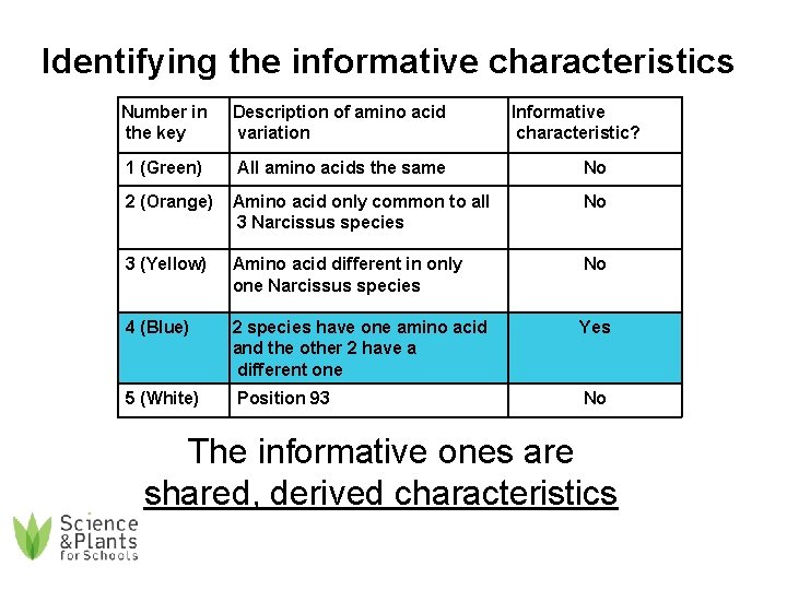 Identifying the informative characteristics Number in the key Description of amino acid variation Informative
