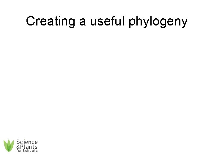 Creating a useful phylogeny 