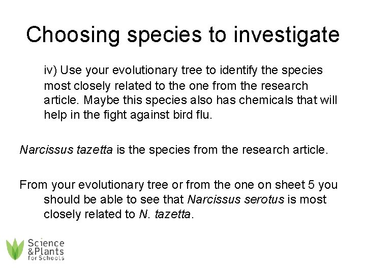 Choosing species to investigate iv) Use your evolutionary tree to identify the species most