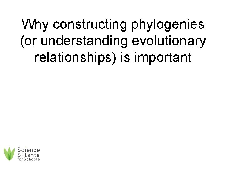 Why constructing phylogenies (or understanding evolutionary relationships) is important 