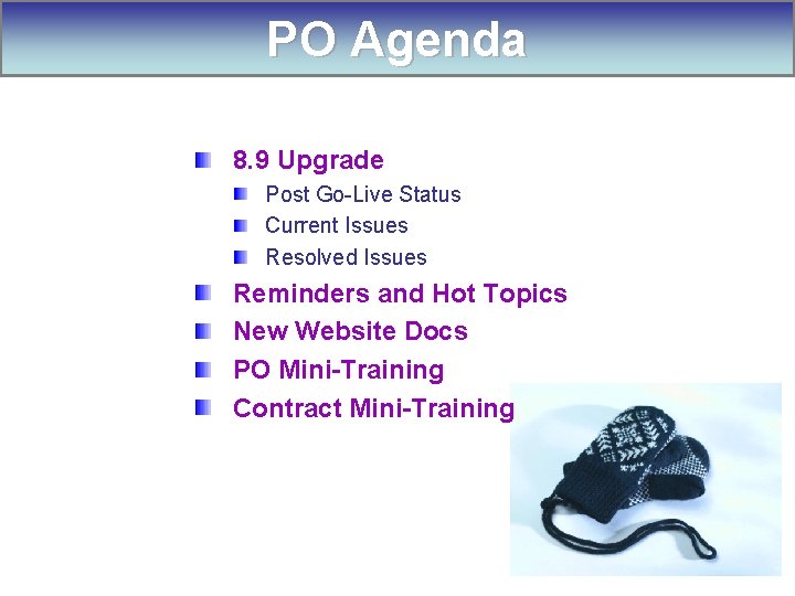 PO Agenda 8. 9 Upgrade Post Go-Live Status Current Issues Resolved Issues Reminders and