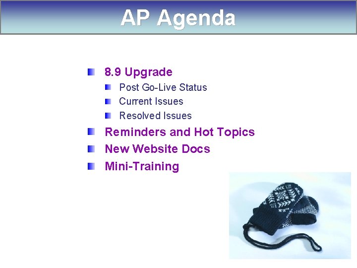 AP Agenda 8. 9 Upgrade Post Go-Live Status Current Issues Resolved Issues Reminders and