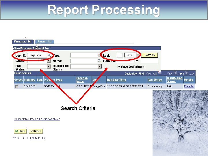 Report Processing Search Criteria 