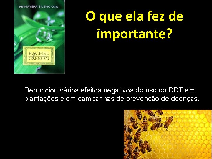 O que ela fez de importante? Denunciou vários efeitos negativos do uso do DDT