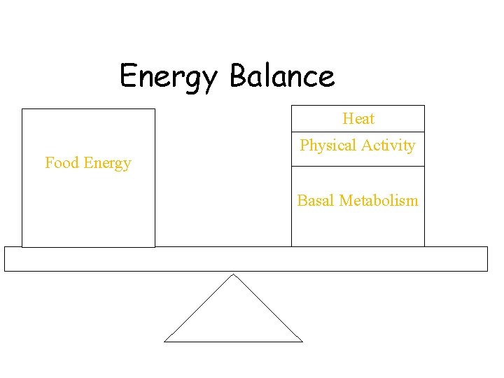 Energy Balance Heat Food Energy Physical Activity Basal Metabolism 