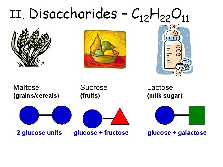 II. Disaccharides – C 12 H 22 O 11 Maltose Sucrose Lactose (grains/cereals) (fruits)