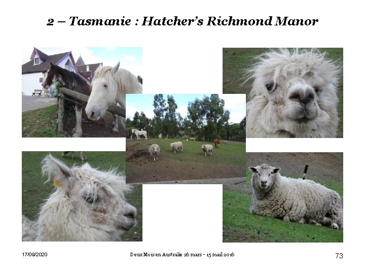 2 – Tasmanie : Hatcher’s Richmond Manor 17/09/2020 Deux Mois en Australie 26 mars