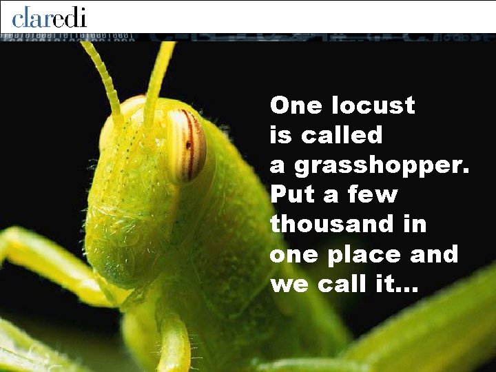 One locust is called a grasshopper. Put a few thousand in one place and