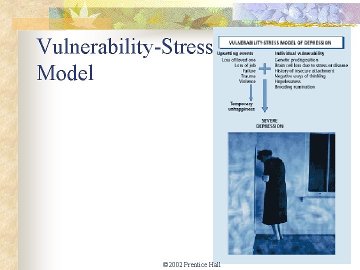 Vulnerability-Stress Model © 2002 Prentice Hall 